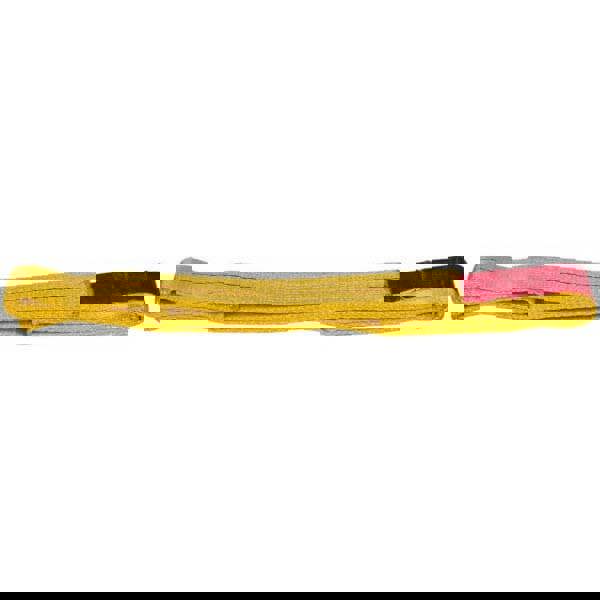 Flat Eye & Eye, Type 3 Web Sling: 6' Long, Polyester