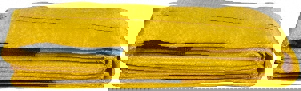 Flat Eye & Eye, Type 3 Web Sling: 6' Long, Polyester