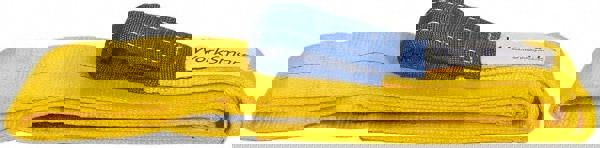 Flat Eye & Eye, Type 3 Web Sling: 8' Long, Polyester