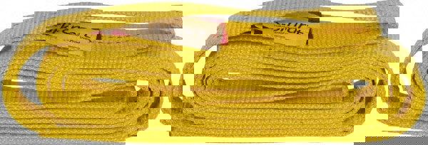 Flat Eye & Eye, Type 3 Web Sling: 8' Long, Polyester