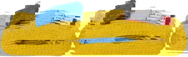 Flat Eye & Eye, Type 3 Web Sling: 20' Long, Polyester