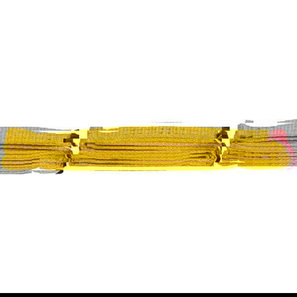 Endless, Type 5 Web Sling: 4' Long, Polyester