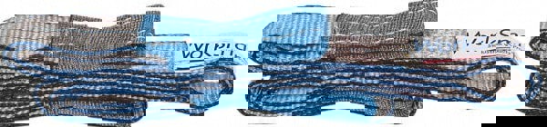 Flat Eye & Eye, Type 3 Web Sling: 7' Long, Polyester