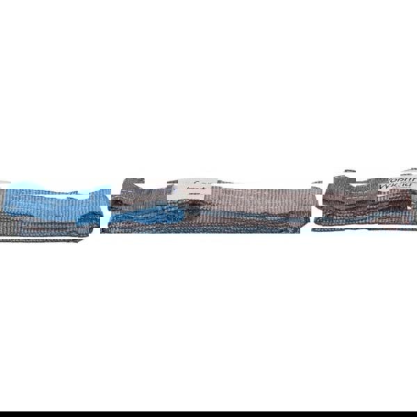 Flat Eye & Eye, Type 3 Web Sling: 4' Long, Polyester