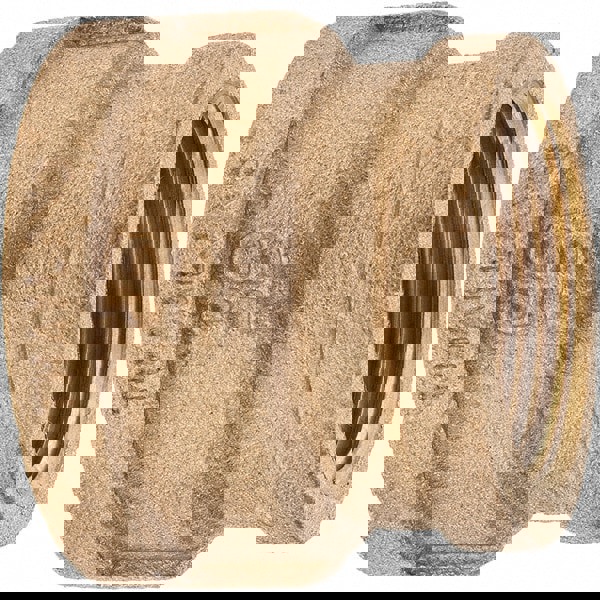 Brass Pipe Reducing Coupling: 1-1/2 x 1-1/4