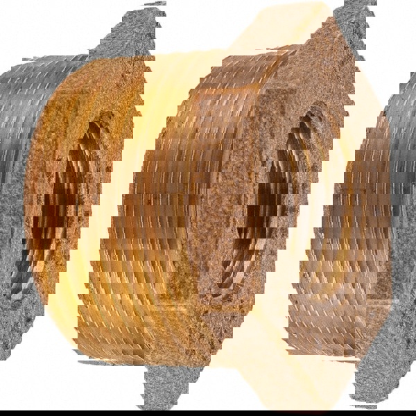 Brass Pipe Bushing: 1 x 1/2