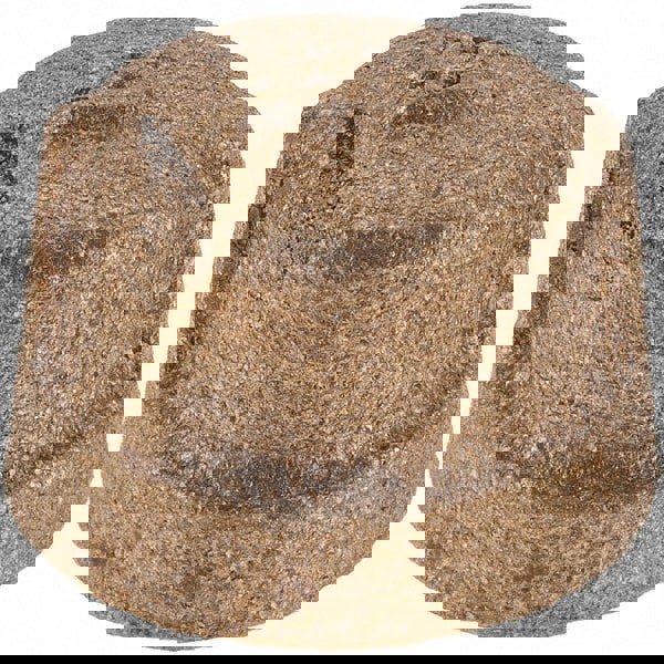 Brass Pipe End Cap: 1/4