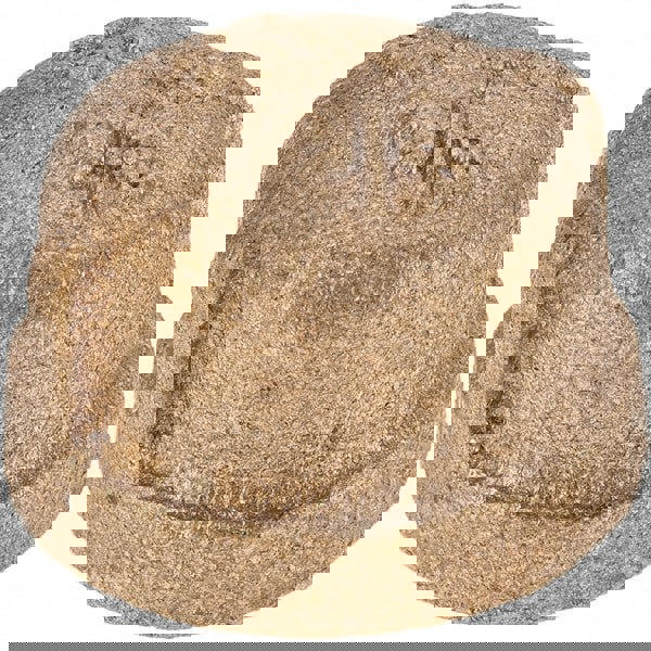 Brass Pipe End Cap: 3/8