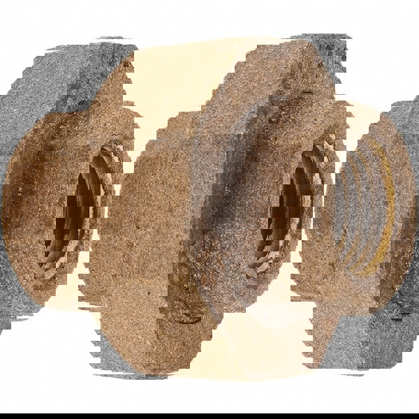 Brass Pipe Union: 1/4