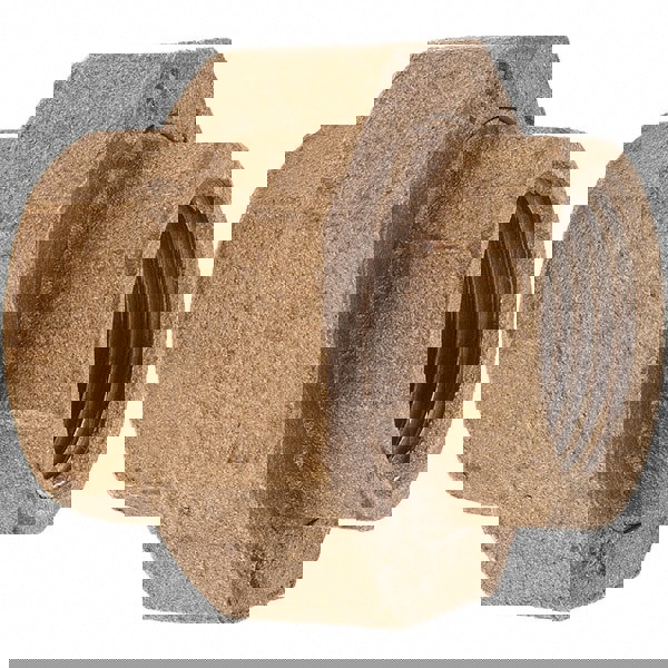 Brass Pipe Union: 3/4