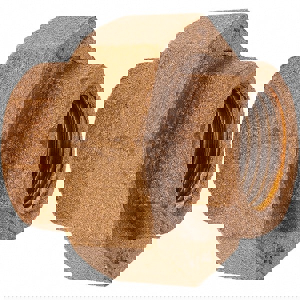 Brass Pipe Union: 1/2