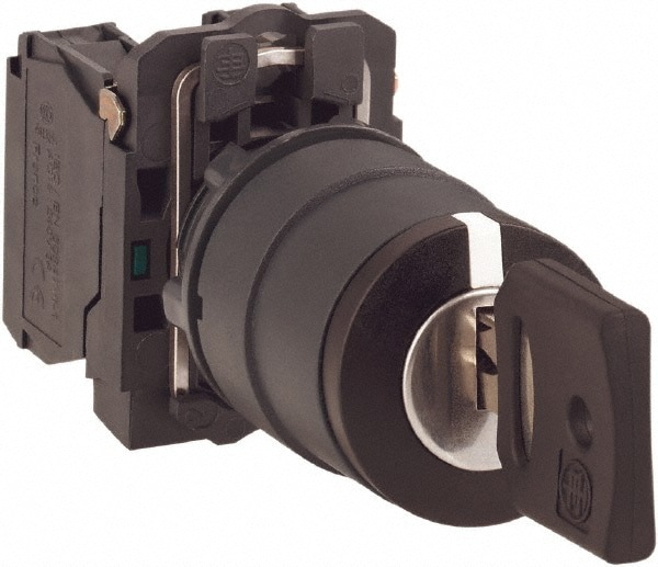 Selector Switch with Contact Blocks: 2 P