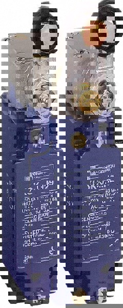 General Purpose Limit Switch: DP, NC, Roller Lever, Side