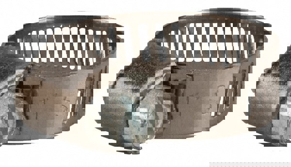 Worm Gear Clamp: SAE 8, 3/8 to 1