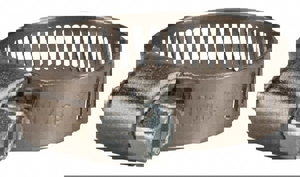 Worm Gear Clamp: SAE 10, 1/2 to 1-1/16