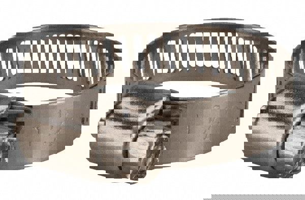 Worm Gear Clamp: SAE 12, 1/2 to 1-1/4