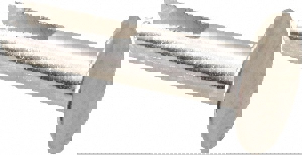 Impact Rivet Ss(Non 18-8)