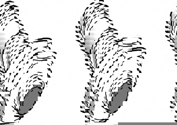Inductive Proximity Sensor: Cylinder, 2.5 mm Detection Distance