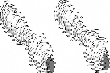 Inductive Proximity Sensor: Cylinder, 2.5 mm Detection Distance