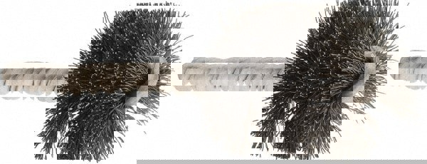 Power Tube Brush: Helical, Steel