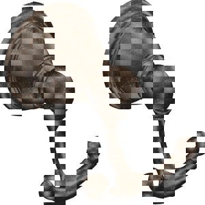 DBL ROBE HOOK BRANTF ORBR